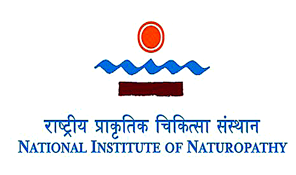 NIN Logo